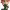 Noriaki Kakyoin cover