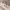 https://res.cloudinary.com/billionhands/image/upload/v1782235147/items/aaftebtsuiydwtopohs8.webp-0cover