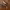 https://res.cloudinary.com/billionhands/image/upload/v1782235470/items/jfpl0vkezf2fwwe8ttru.webp-2cover