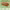 https://res.cloudinary.com/billionhands/image/upload/v1782238363/items/wefwpws5uee48dvbv8qi.webp-2cover