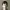 https://res.cloudinary.com/billionhands/image/upload/v1782238508/items/oobds7zyxmv6ydvkgunt.webp-3cover