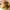 Salsas gourmet para hamburguesas en España cover