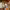 https://res.cloudinary.com/billionhands/image/upload/v1782244129/items/jfy66re6fucyteokcwfe.webp-3cover
