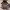 https://res.cloudinary.com/billionhands/image/upload/v1782244269/items/v3ipxdvbwvne0vti4nkg.jpg-1cover