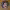 https://res.cloudinary.com/billionhands/image/upload/v1782245325/items/d1iugblgi2g3xgnarpiu.jpg-1cover