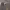 https://res.cloudinary.com/billionhands/image/upload/v1782245327/items/dh4gx6fybkswwts3oq8x.jpg-3cover