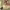 https://res.cloudinary.com/billionhands/image/upload/v1782245331/items/eeohehy9jwrrbeuddaoc.webp-2cover