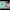https://res.cloudinary.com/billionhands/image/upload/v1782248441/items/gjlucsg4w0ka1txvkaaz.jpg-0cover