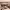 https://res.cloudinary.com/billionhands/image/upload/v1782248785/items/ytzbjsnldmf9milmkmal.webp-2cover