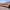 https://res.cloudinary.com/billionhands/image/upload/v1782248794/items/ylmpdzmymuyrufcrnzmk.webp-1cover