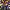 https://res.cloudinary.com/billionhands/image/upload/v1782250246/items/cf5husyw4bmirtbunn2a.jpg-2cover