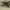 https://res.cloudinary.com/billionhands/image/upload/v1782250521/items/pgrbg6xrwstssjgfolhp.jpg-1cover