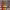 https://res.cloudinary.com/billionhands/image/upload/v1782250810/items/sxb25rb9edd7sp1vmgnr.webp-2cover