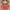 https://res.cloudinary.com/billionhands/image/upload/v1782252259/items/uodhjz668dmimgmq77s4.jpg-0cover