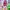 https://res.cloudinary.com/billionhands/image/upload/v1782256783/items/ivbotskd4cgi3llxz5li.png-0cover