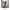https://res.cloudinary.com/billionhands/image/upload/v1782257118/items/ifisx336atv5dv7tdwus.webp-0cover