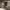 https://res.cloudinary.com/billionhands/image/upload/v1782257582/items/ogh0jhifn5a5pgz9sc6m.png-2cover