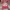 https://res.cloudinary.com/billionhands/image/upload/v1782259207/items/cyog2qirupjj1mabugxy.png-3cover
