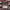 https://res.cloudinary.com/billionhands/image/upload/v1782261745/items/d5pfjvim7gha0udlvaf4.webp-0cover