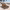 https://res.cloudinary.com/billionhands/image/upload/v1782261822/items/lpzgjkjcv19dds04egnu.avif-1cover