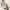 https://res.cloudinary.com/billionhands/image/upload/v1782264830/items/jiu8oeujxbcczktzwvnz.jpg-2cover