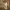https://res.cloudinary.com/billionhands/image/upload/v1782264873/items/xn6v9xip6il9vrfspzcf.avif-3cover