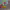 https://res.cloudinary.com/billionhands/image/upload/v1782265117/items/avzsoapskkbp1iv4o07m.jpg-0cover