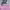 https://res.cloudinary.com/billionhands/image/upload/v1782267488/items/o6cygnn5lgkpctt5obez.jpg-3cover