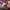 https://res.cloudinary.com/billionhands/image/upload/v1782269154/items/nxjcyotyg9awkkskox4v.jpg-1cover