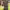 https://res.cloudinary.com/billionhands/image/upload/v1782272247/items/ddq0glcifa81qchsi1el.webp-2cover