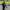 Lafayette Park Shooting (2026) cover