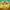 https://res.cloudinary.com/billionhands/image/upload/v1782273229/items/cdgrfxb462qciwmz6s3y.webp-2cover