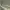 https://res.cloudinary.com/billionhands/image/upload/v1782273345/items/nm8yyswoo6kjf8pl200a.jpg-2cover