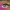 https://res.cloudinary.com/billionhands/image/upload/v1782277463/items/tp7wswbq1ax4bwpbigyj.jpg-0cover