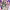 https://res.cloudinary.com/billionhands/image/upload/v1782278219/items/pyr5ijmztoho1lkojkhm.webp-3cover
