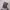 https://res.cloudinary.com/billionhands/image/upload/v1782278561/items/tubjc1qtmopkw1tuu1zz.jpg-2cover