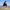 https://res.cloudinary.com/billionhands/image/upload/v1782283013/items/hzp54qlmvt8s3kqwogkd.webp-0cover