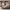 https://res.cloudinary.com/billionhands/image/upload/v1782286614/items/b8d7sugyf9e8fhjbztxu.jpg-0cover