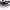 https://res.cloudinary.com/billionhands/image/upload/v1782286783/items/uyl00mecsdfkvtcgu9wl.jpg-1cover
