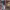 https://res.cloudinary.com/billionhands/image/upload/v1782286946/items/bkhxy5srcnrjxtqz5dvb.jpg-2cover