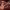 https://res.cloudinary.com/billionhands/image/upload/v1782286949/items/go9e8rmdc7gl2sveegld.webp-3cover
