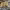 DIY Blogs (e.g., BeaverCraft) cover