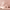 https://res.cloudinary.com/billionhands/image/upload/v1782297185/items/mbunhjecqc8lt7zywfvo.jpg-2cover