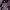 https://res.cloudinary.com/billionhands/image/upload/v1782297971/items/t4bmqqjwqd82qwn6htow.jpg-0cover