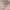 https://res.cloudinary.com/billionhands/image/upload/v1782299084/items/es4m0nrncyqsschgaokh.webp-0cover