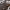 https://res.cloudinary.com/billionhands/image/upload/v1782300503/items/pa5juu4auqd25fko33s3.jpg-0cover