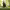 https://res.cloudinary.com/billionhands/image/upload/v1782302841/items/zflz1tdtag1lt5xdisve.jpg-0cover