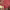 https://res.cloudinary.com/billionhands/image/upload/v1782306596/items/qsptgtqolpbikhrwqohz.jpg-2cover