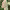 https://res.cloudinary.com/billionhands/image/upload/v1782308565/items/wpehkiwsxjulmybdacjs.webp-0cover