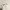 https://res.cloudinary.com/billionhands/image/upload/v1782309603/items/xfpxgbrngsgmfed1d6kk.jpg-3cover